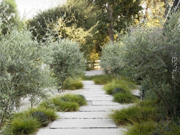 Landscape Installation